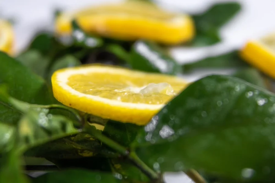 Citrus fruit, source of eriocitrin